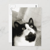 erstaunt postkarte (Vorne/Hinten)