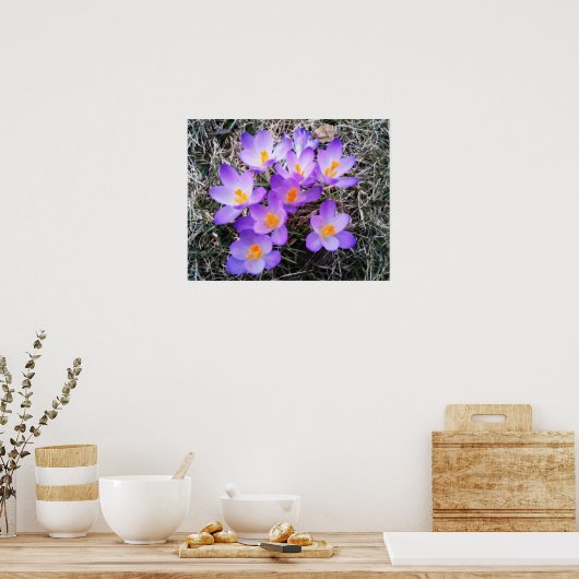 ERSTE ANZEICHEN DER FRÜHJAHRE POSTER (Küche)