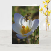 Erste Anzeichen des Frühlings Karte (Gelbe Blume)