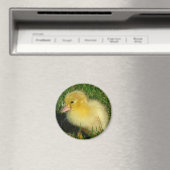 Erste Ausgabe der Saison Magnet (In Situ (Geschirrspüler))