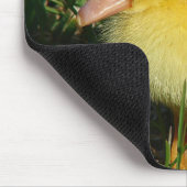 Erste Ausgabe der Saison Mousepad (Ecke)