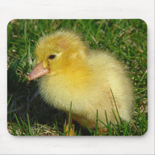 Erste Ausgabe der Saison Mousepad