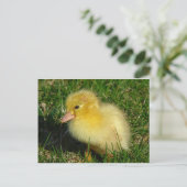 Erste Ausgabe der Saison Postkarte (Stehend Vorderseite)