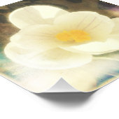 Erste Blume des Frühjahrs Fotodruck (Ecke)