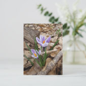 ERSTE BLUME POSTKARTE (Stehend Vorderseite)