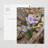 ERSTE BLUME POSTKARTE (Vorne/Hinten)