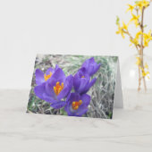 Erste Blüte des Frühlinges Karte (Gelbe Blume)