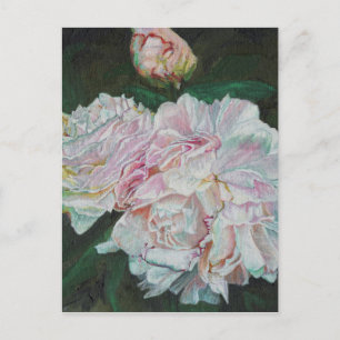 Erste Blüten 2012 Postkarte