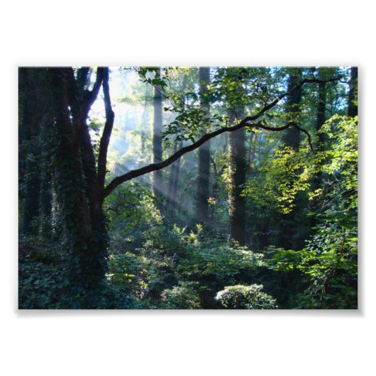 Erste Foto drucken (Vorne)