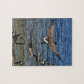 Erste Gänse zum Fliegen, Gänse am Arrowhad-See Puzzle (Horizontal)