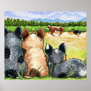 Erste Lektion von Andie Poster