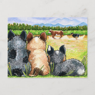 Erste Lektion von Andie Postkarte