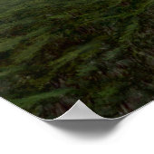 ERSTE LESSON VON Kerem Beyit Poster (Ecke)