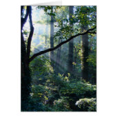 Erste Lichtkarte (Vorne)