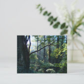 Erste Light Postkarte (Stehend Vorderseite)