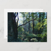 Erste Light Postkarte (Vorne/Hinten)