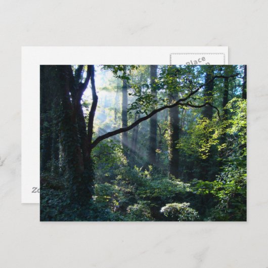 Erste Light Postkarte (Vorne/Hinten)