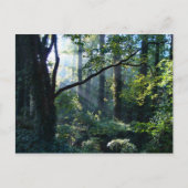 Erste Light Postkarte (Vorderseite)