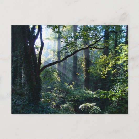 Erste Light Postkarte (Vorderseite)