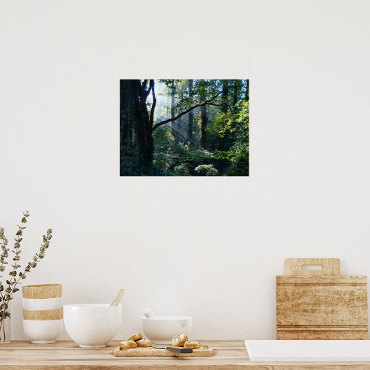 Erste Light Print Poster (Küche)