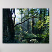 Erste Light Print Poster (Vorne)