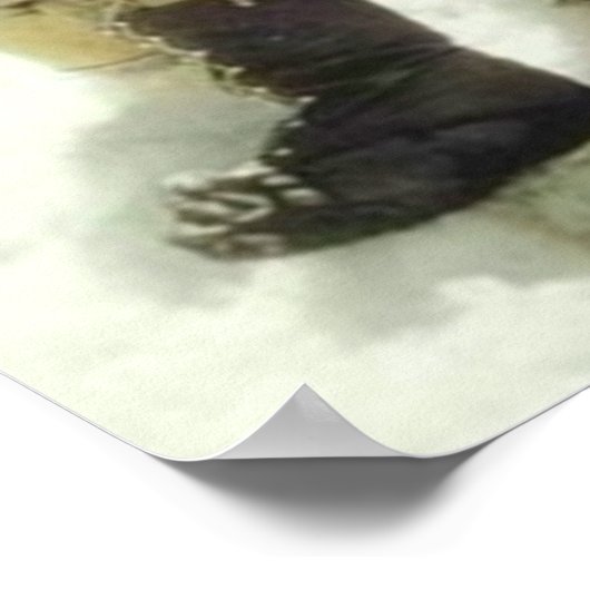 Erste Männer, die den Everest Hillary Norgay 1953  Poster (Ecke)