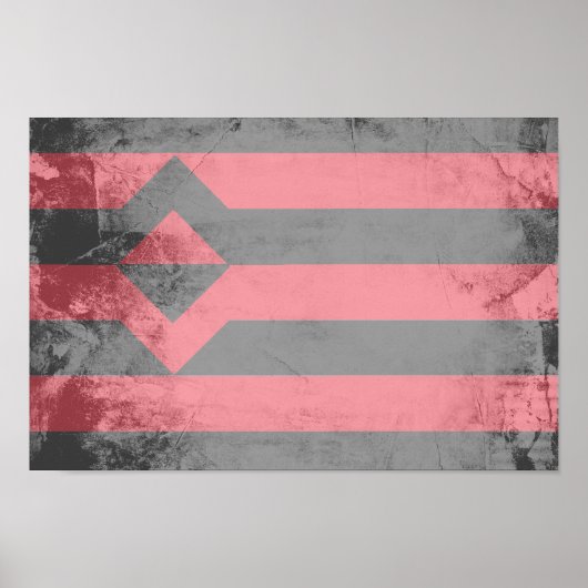 ERSTE PRIDE FLAG POSTER (Vorne)