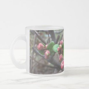 Erste rosa Buds Mattglastasse