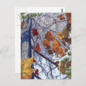 Erste Schnee Winter Camouflage Print Postkarte (Vorne/Hinten)