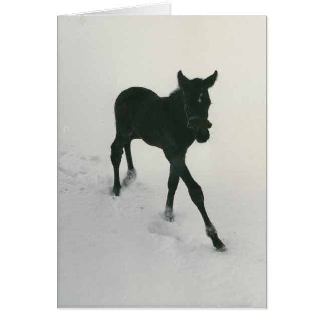 Erste Schritte im Schnee (Vorne)