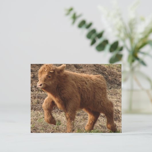 erste Schritte Postkarte (Stehend Vorderseite)