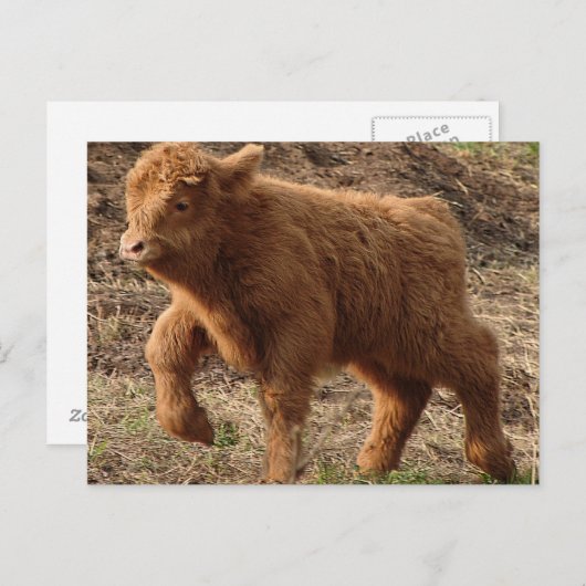 erste Schritte Postkarte (Vorne/Hinten)