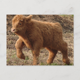 erste Schritte Postkarte