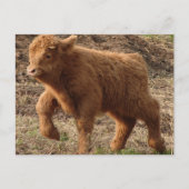 erste Schritte Postkarte (Vorderseite)