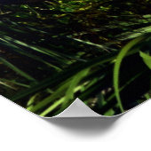 Erste Stufe der Sicherheit Poster (Ecke)