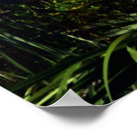 Erste Stufe der Sicherheit Poster (Ecke)