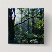 Erste Taste Button (Vorderseite)