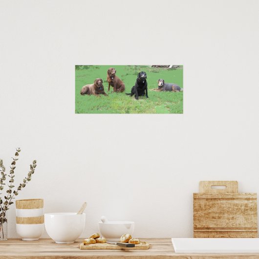 Erste vier poster (Küche)