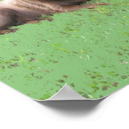 Erste vier poster (Ecke)