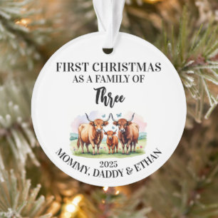 Erste Weihnachten als eine Familie von 3,Custom Hi Ornament