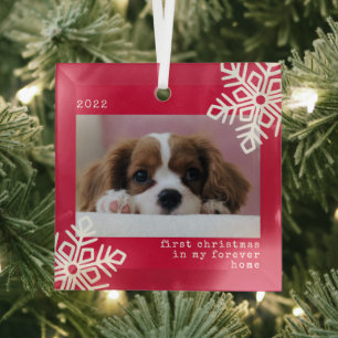 Erste Weihnachten in meinem Forever Zuhause Hund F Ornament Aus Glas