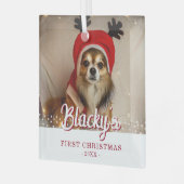 Erste Weihnachts Welpe Foto White Stars Ornament Aus Glas (Vorderseite links)