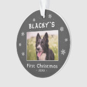 Erste Weihnachts Welpe Grau Snowflakes Foto Ornament (Vorderseite)