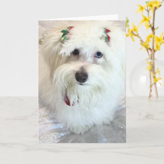 Erste Weihnachtsfeier Karte (Gelbe Blume)