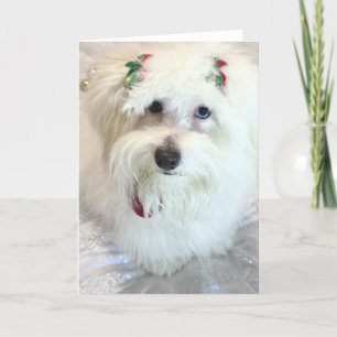 Erste Weihnachtsfeier Karte