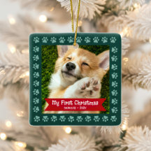 Erste Weihnachtsjunge Welpen Foto Paws Green Custo