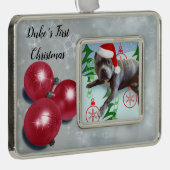 Erste Weihnachtszeit für Haustiere Rahmen-Ornament Silber (Rechts)