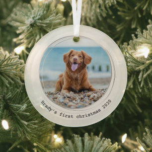 Erste Weihnachtszeit Modernes Foto für Hunde Ornament Aus Glas
