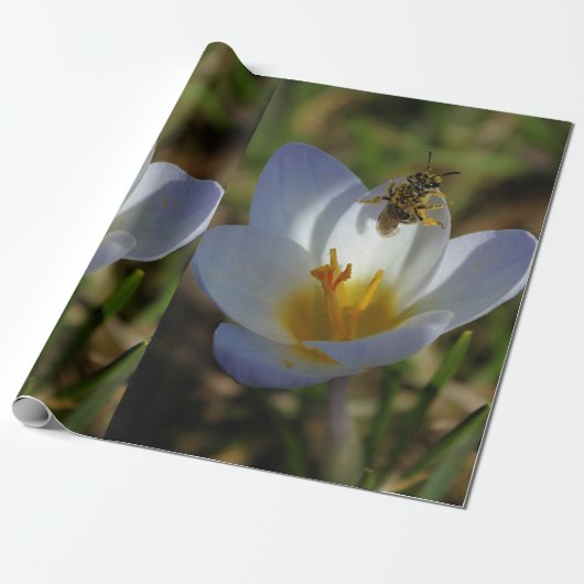 Erste Zeichen des Frühlinges Geschenkpapier (Ungerollt)