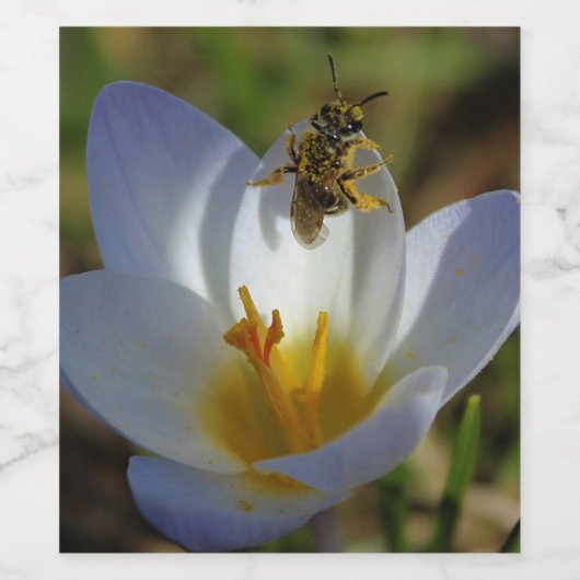 Erste Zeichen des Frühlinges Weinetikett (Einzelnes Label)